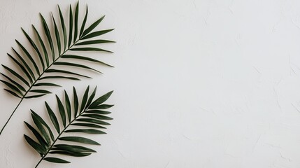 Delicate teal palm leaves frame the top of a clean white background, providing a minimalist aesthetic with plenty of empty space suitable for text or graphics