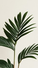 Delicate teal palm leaves frame the top of a clean white background, providing a minimalist aesthetic with plenty of empty space suitable for text or graphics