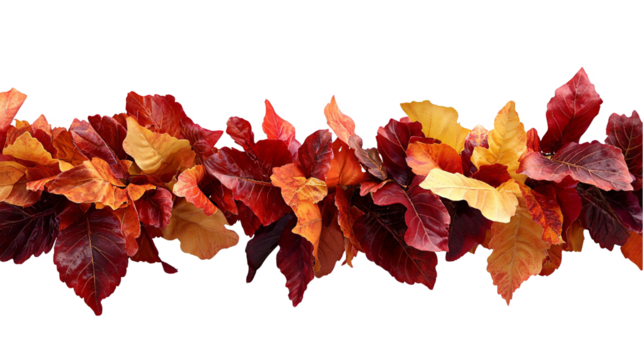 A seamless horizontal border of autumn leaves in shades of red, orange, and yellow.