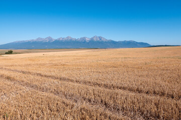 The High Tatras are the highest mountain ranges in Slovakia and Poland. There are 26 peaks exceeding 2,500 meters in height in the High Tatras. A beautiful view of the Tatras from the south side.