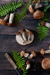 Basket with edible white mushrooms. Boletus edulis. Collect porcini in forest