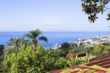 Beautiful view of the tropical garden and city on a summer day. Top view. Funchal. Madeira....