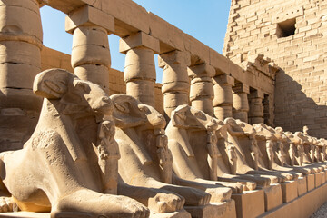 The enigmatic Sphinx stands as guardian of Karnak, its watchful gaze fixed upon the ancient temple....