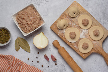 Food photography of ingredients of  homemade dumplings, raw dough and minced chicken, onion,...