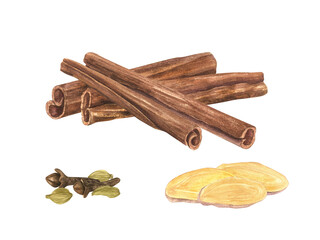 Natural raw organic cinnamon sticks watercolor illustration. Aromatic seasoning from tree bark lying on top of each other. Winter Ingredient for hot drinks, medicine, cooking and aromatherapy.