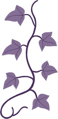 ivy plant drawing illustration.