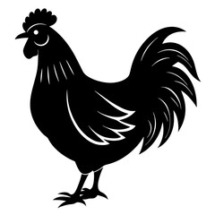 rooster and hen