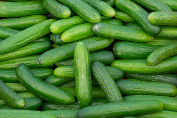 top view on cucumber as food background