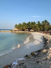 beach with palm trees