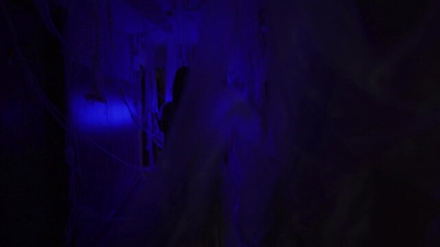Woman ghost or zombie in bride dress at night in spider web, halloween celebration