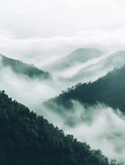 Foggy Mountain Peaks - Nature Photography