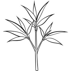 Bamboo Art Vector