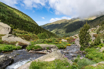 landscape in the mountains