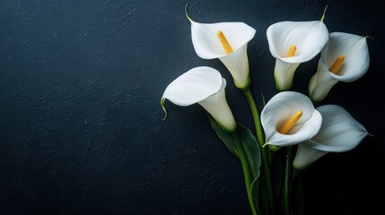 White calla lily flowers on black, representing condolence with a funeral theme.