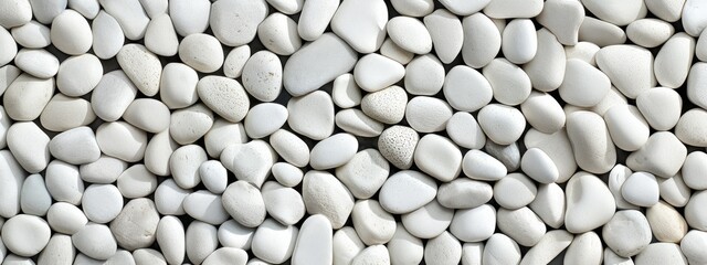 Background with texture of the white pebbles.