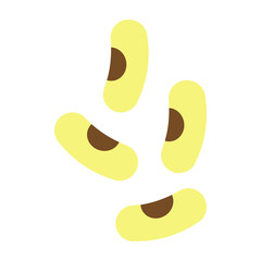 Beans Vector Flat Icon Design