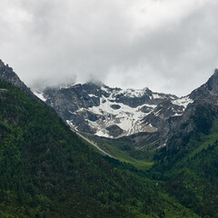 mountain covered by cloud with snow and plants in eastern tibet