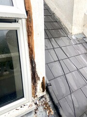 Wet wood rot rotted rotten filler repair mold damage insurance theme around window
