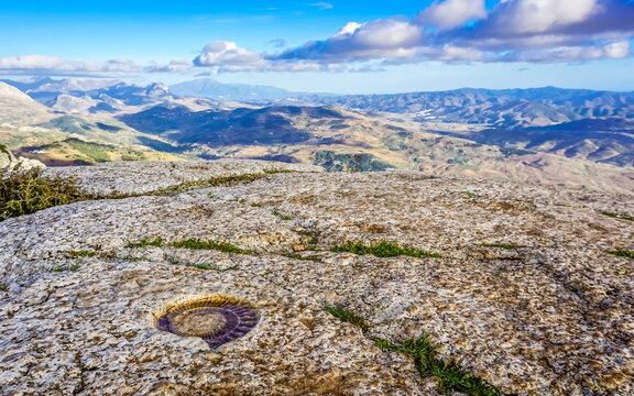 Fossilized ammonite on a rock in Torcal de Antequera