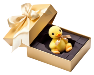 PNG Duck doll box gift white background.