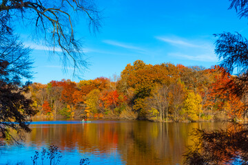 New York autumn fall. People rowing a boat in Central Park pond. Central Park in autumn with colorful fall trees. Autumn nature. New York City Central Park with boat in lake. Autumn landscape nature
