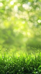 Obraz premium Fresh spring grass and bright green blurred background