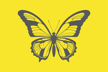 Butterflies silhouette black and white drawing