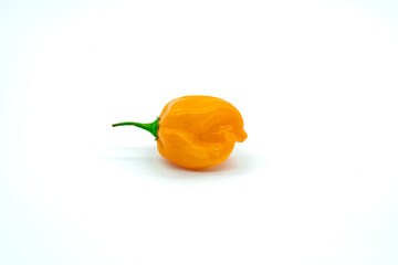 Single habanero pepper on white background 