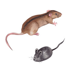 Set of watercolor illustrations. Brown domestic mouse with a black stripe on the back and a toy mouse for pets, a cat. All objects are hand-drawn with watercolors. For printing on pet products.