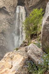 waterfall among stones and wild flowers