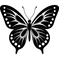 butterfly illustration