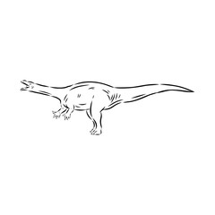 aardonix vector sketch dinosaurs isolated on white background,