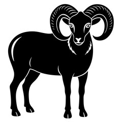 black and white sheep