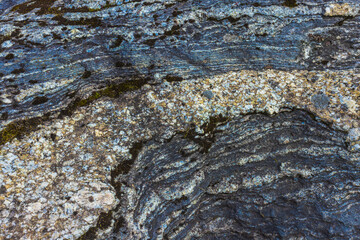 Exploring Abstract Natural Patterns Found on Stone Surfaces in Various Environments