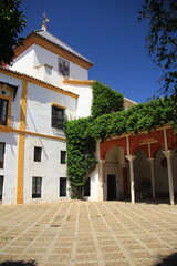 spanish courtyard palacio