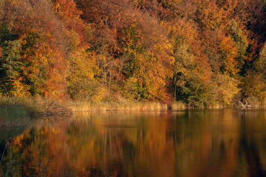 Herbst Zauber mit voller Herbstf&auml;rbung am Ukleisee.