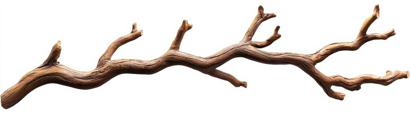 Curved Tree Branch on White Background, Isolated, Nature , Branch , Texture