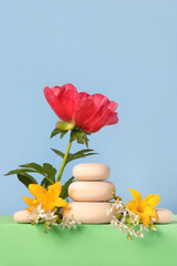 Concept scene stage showcase for new product, banner, promotion sale, cosmetic, presentation. Wood slice podium and yellow lily flowers and ornithogalum flowers on green background.