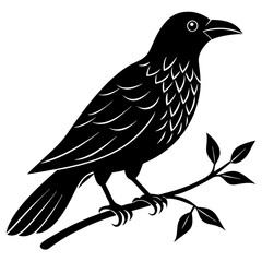 Fototapeta premium Crow with branch line art vector white background