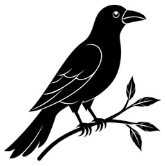 Fototapeta premium Crow with branch line art vector white background
