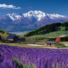 Enchanting Lavender Fields of Hokkaido Framed by Majestic Snowy Mountains and Serene Hot Springs