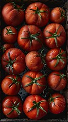 black prince tomatoes, in a rectangular metal tray, a lot of black prince tomatoes, drops of water, convey all the details of the black prince tomato, beautiful soft light