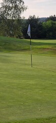 golf course with a green area, a hole, and a flagstick, surrounded by trees under a clear sky.
