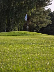 golf course with a green area, a hole, and a flagstick, surrounded by trees under a clear sky.
