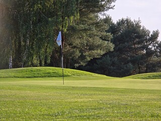 golf course with a green area, a hole, and a flagstick, surrounded by trees under a clear sky.
