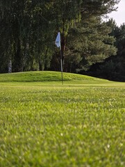 golf course with a green area, a hole, and a flagstick, surrounded by trees under a clear sky.
