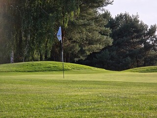 golf course with a green area, a hole, and a flagstick, surrounded by trees under a clear sky.
