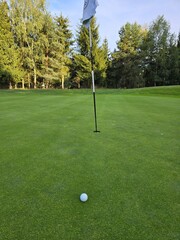 golf course with a green area, a hole, and a flagstick, surrounded by trees under a clear sky.
