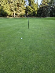 golf course with a green area, a hole, and a flagstick, surrounded by trees under a clear sky.
