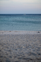 beach and sea